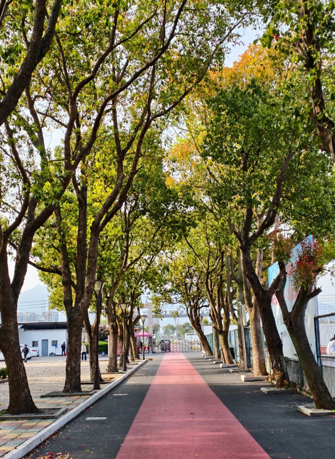 春有春的来意，花有花的秘密|才华邀您共赴春日浪漫之约