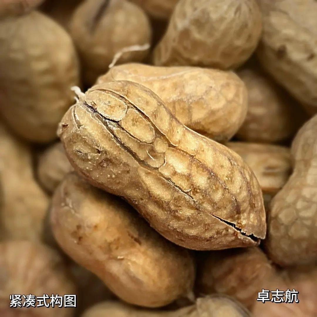 别眨眼！看才华学子用镜头&画笔“炫”出超然艺术力