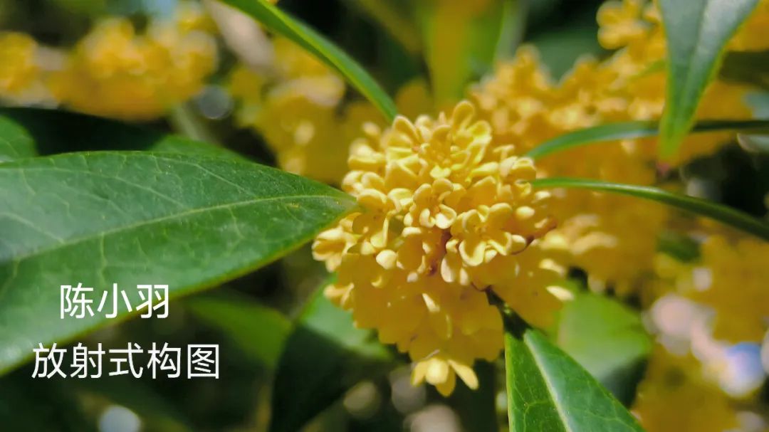 别眨眼！看才华学子用镜头&画笔“炫”出超然艺术力