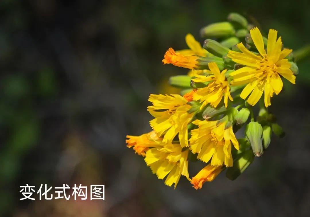 别眨眼！看才华学子用镜头&画笔“炫”出超然艺术力