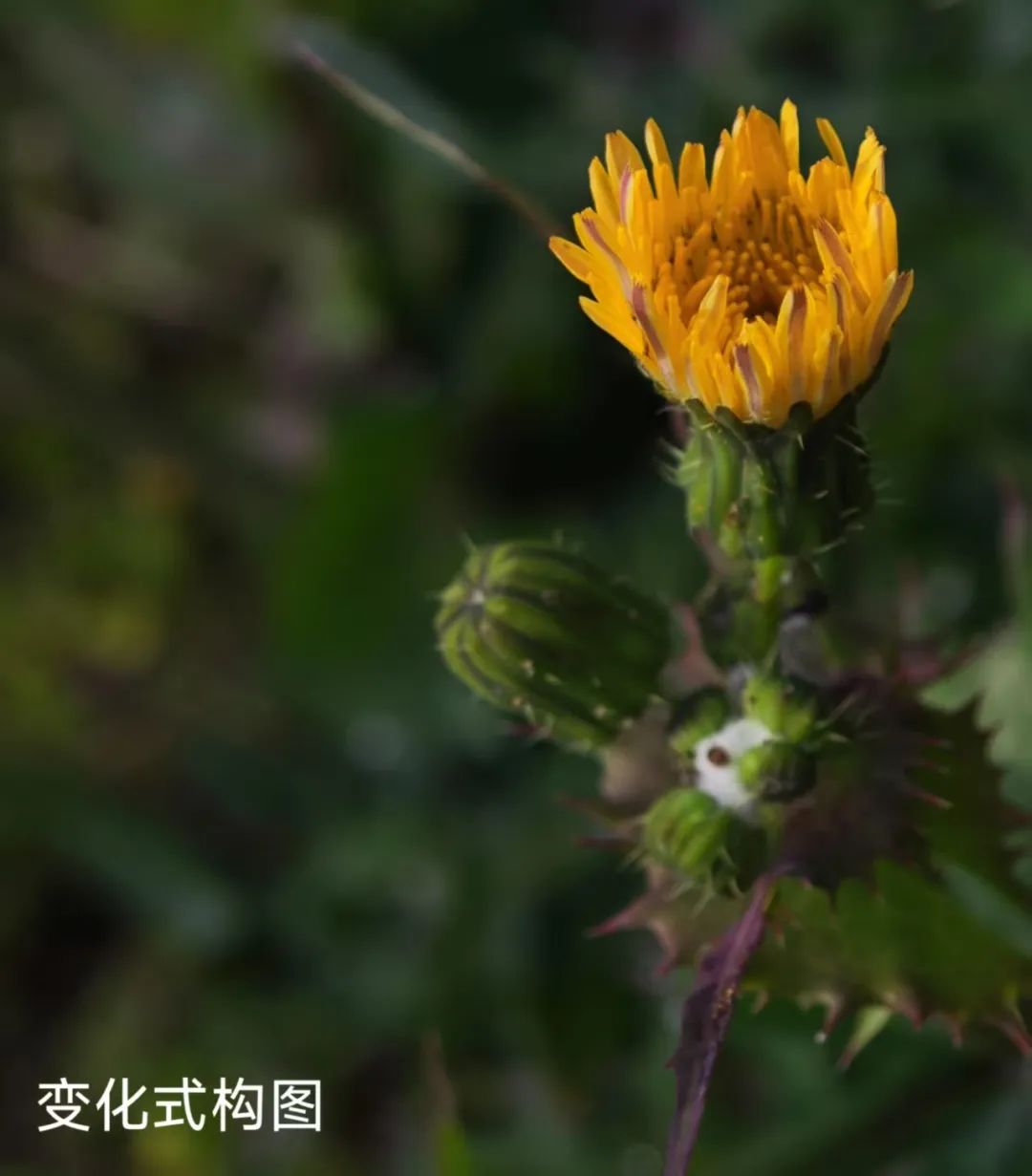 别眨眼！看才华学子用镜头&画笔“炫”出超然艺术力